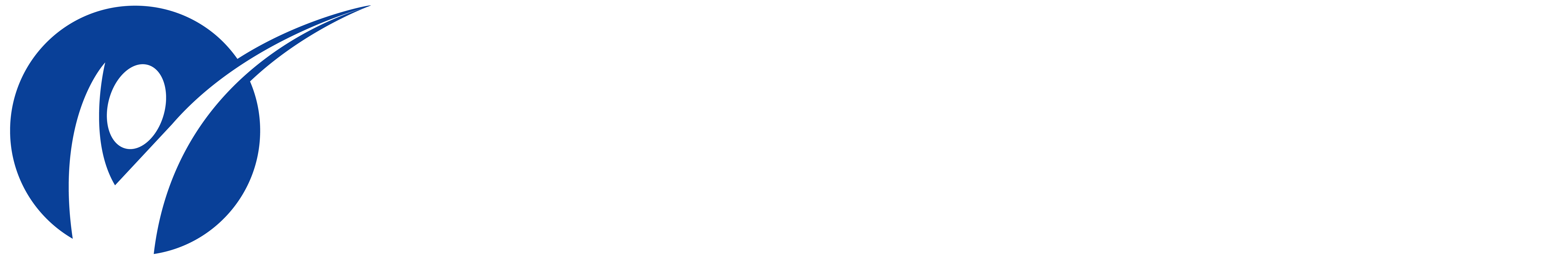 Hemsing Personalis